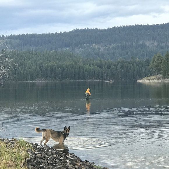 Meet your Posher, Andrew - Picture 1 of 1